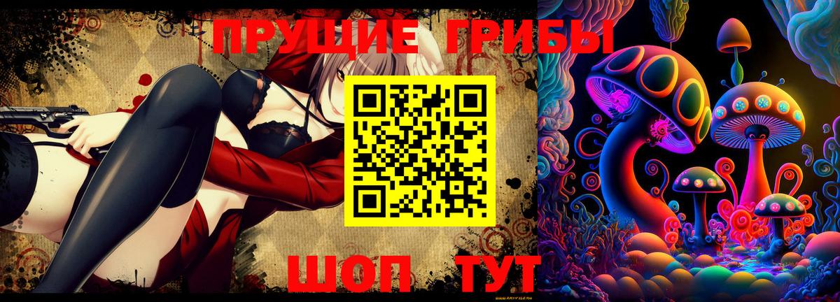 Псилоцибиновые грибы Psilocybe  Вход с VPN  Среднеуральск 